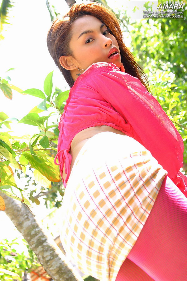 amar30a005.jpg